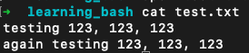Terminal Command Cat for Beginners